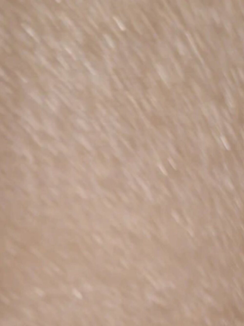 1214 Madison Studio Sparkly Sleeveless Blouse - Picture 4 of 4
